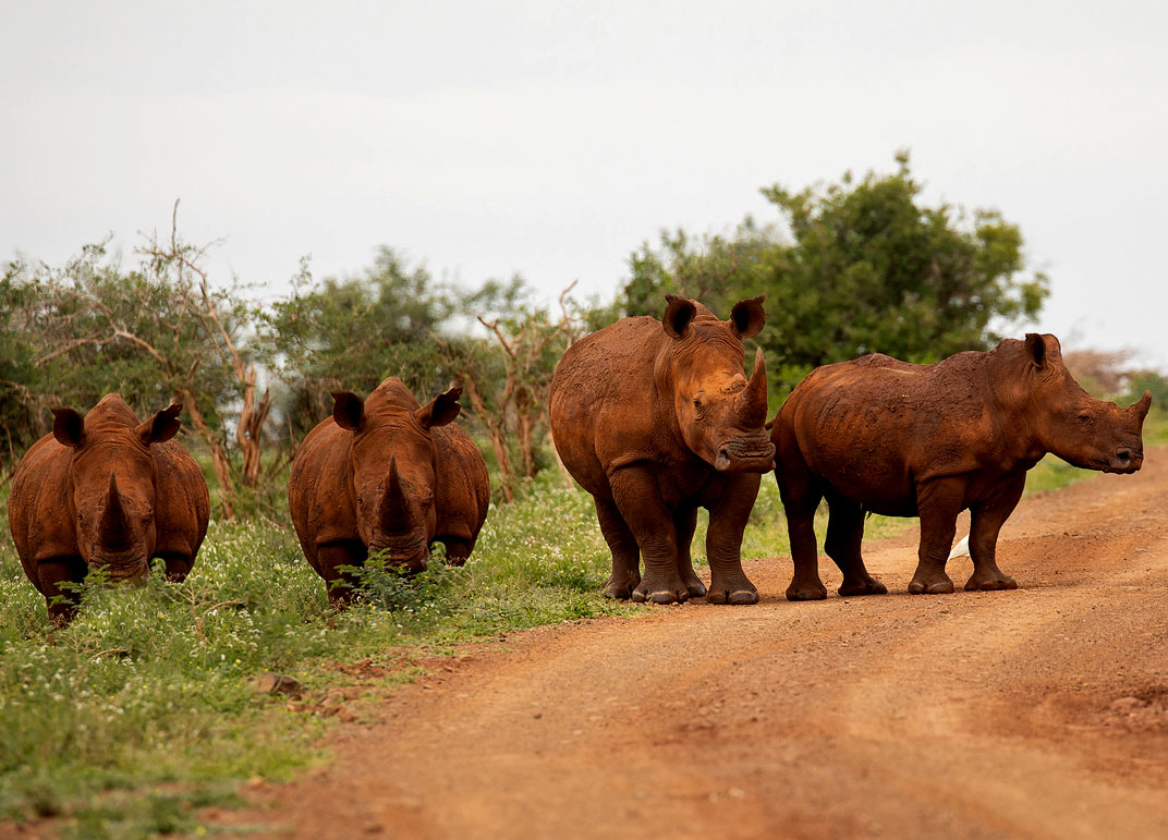 3-days-big-five-uganda-safari