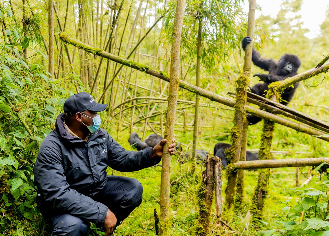 3-days-gorilla-trekking-rwanda