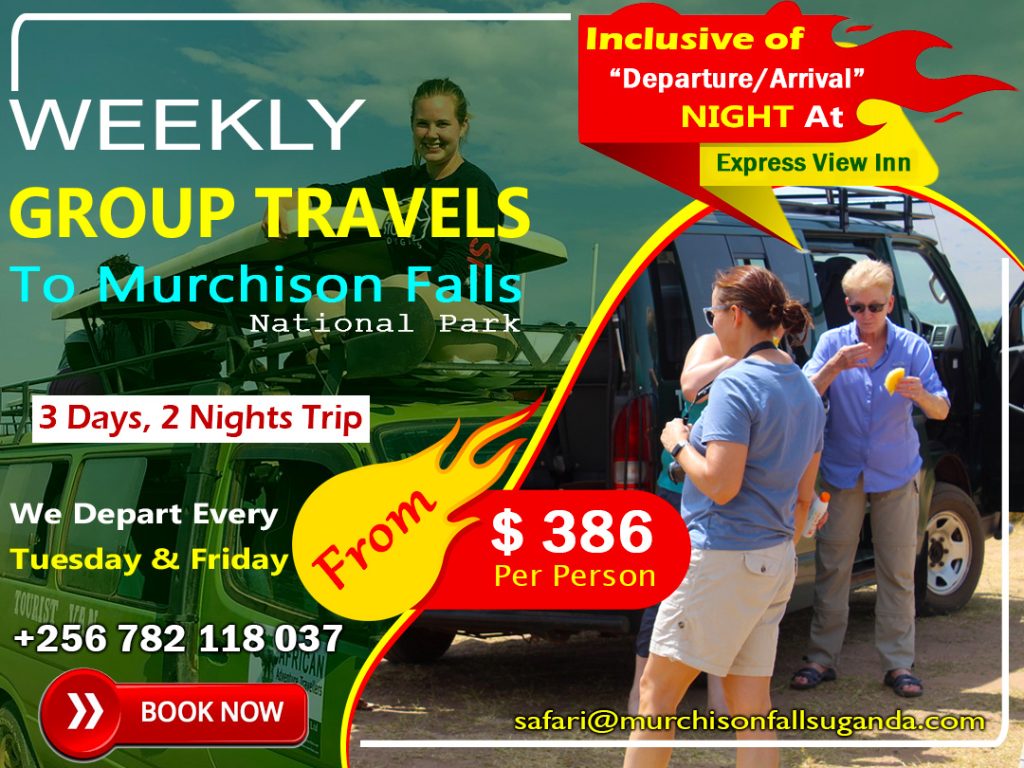 weekly-group-travels-to-murchison-falls-national-park